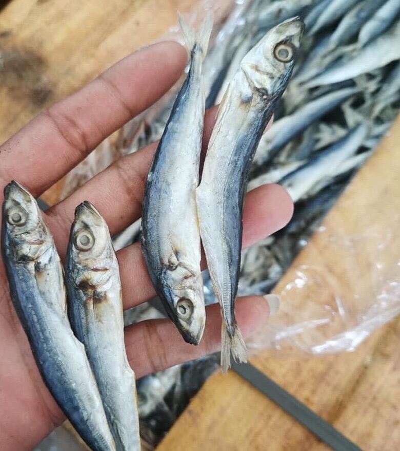 Tuyo Galunggong