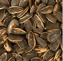 Load image into Gallery viewer, Bigs Taco Supreme Flavored Sunflower Seeds, 3.63 oz. Bags