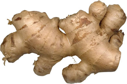 Ginger | LUYA