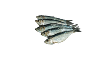 Load image into Gallery viewer, Tuyo Salinas
