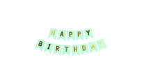Load image into Gallery viewer, Green Birthday Banner with Gold Letters

