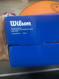 Wilson NBA DRV Outdoor Basketball