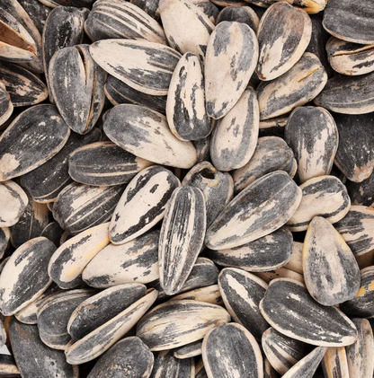 David Original Jumbo Sunflower Seeds, 3.75 oz. Bags 106g  Made in USA