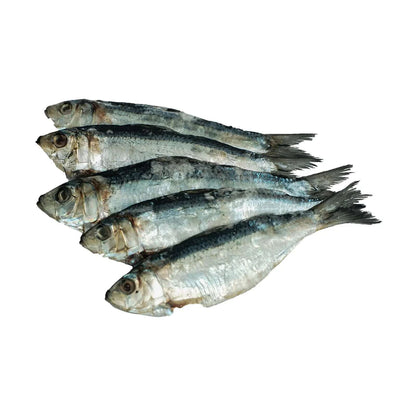 Tuyo Salinas
