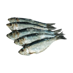 Tuyo Salinas