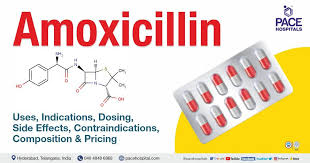 Amoxicillin