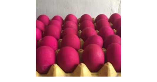 Red Salted Egg/ Itlog na Pula