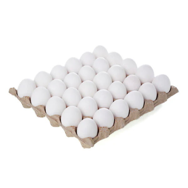 White Egg - One Piece