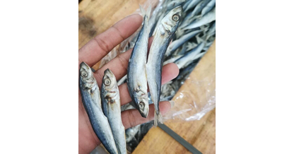 Tuyo Galunggong