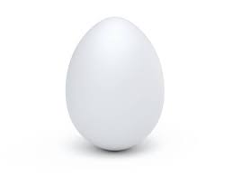 White Egg - One Piece