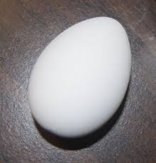 White Egg - One Piece