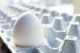 White Egg - One Piece