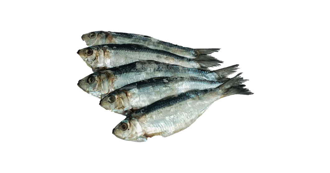 Tuyo Salinas