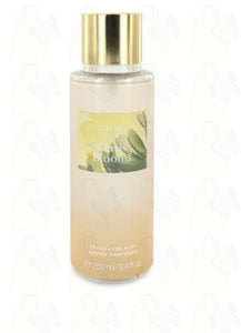 victoria secret fragrance  mist